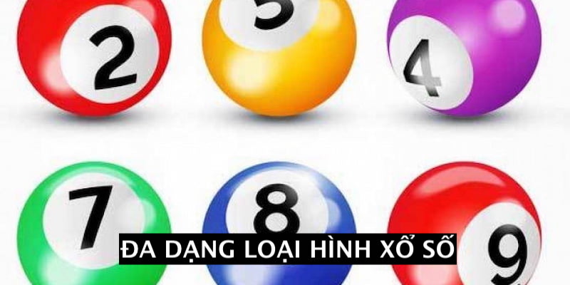 Trải nghiệm hệ thống sản phẩm đảm bảo về số lượng và chất lượng