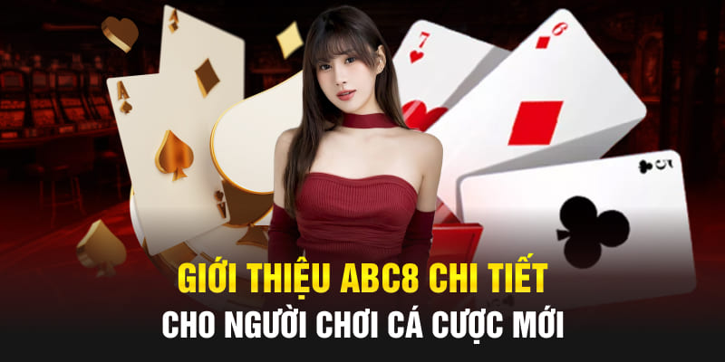 Giấy phép hoạt động ABC8